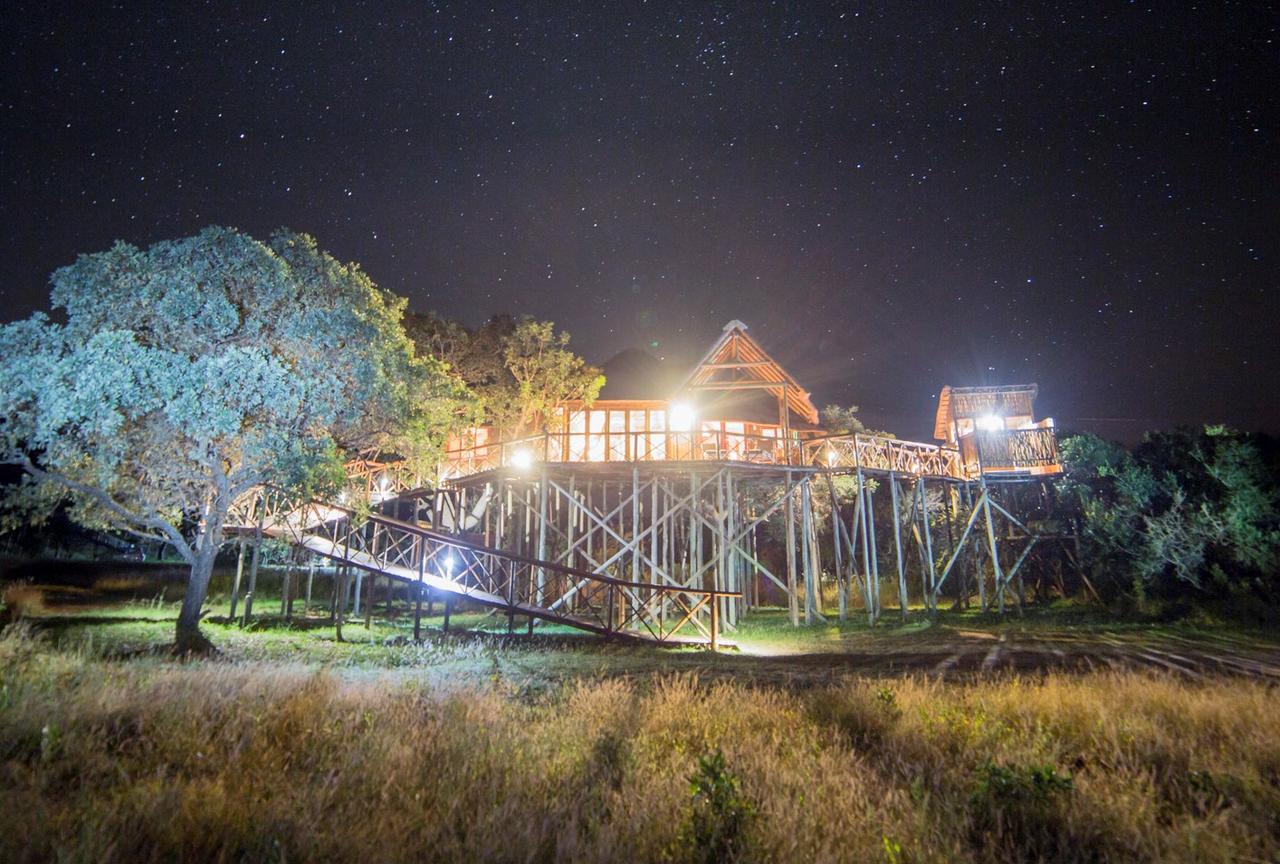 Pezulu Tree House Lodge フッドスプルイト エクステリア 写真