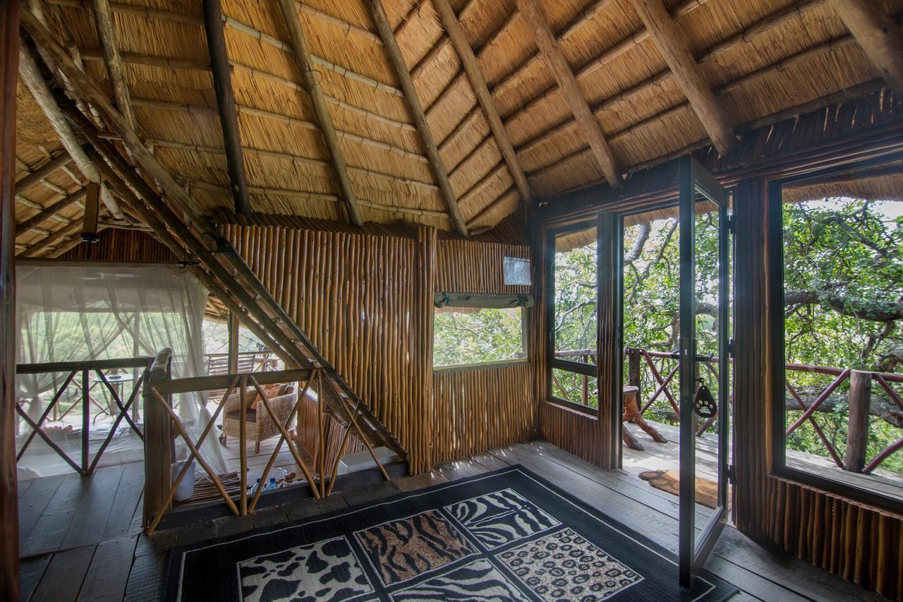 Pezulu Tree House Lodge フッドスプルイト エクステリア 写真