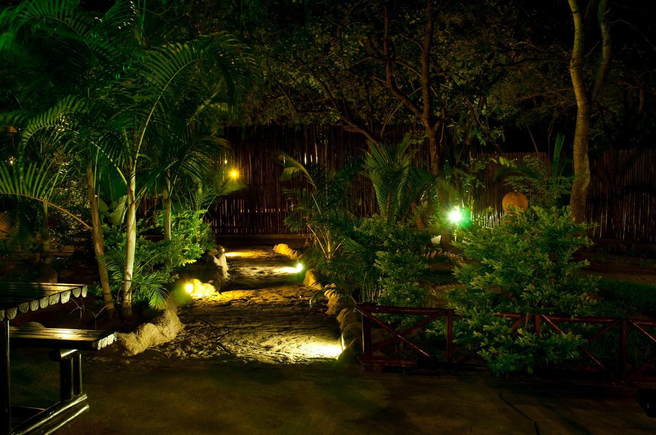 Pezulu Tree House Lodge フッドスプルイト エクステリア 写真