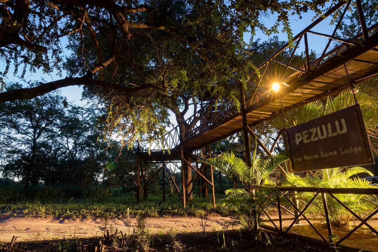Pezulu Tree House Lodge フッドスプルイト エクステリア 写真