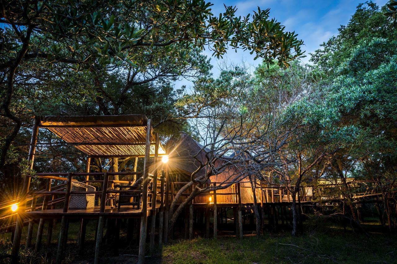 Pezulu Tree House Lodge フッドスプルイト エクステリア 写真