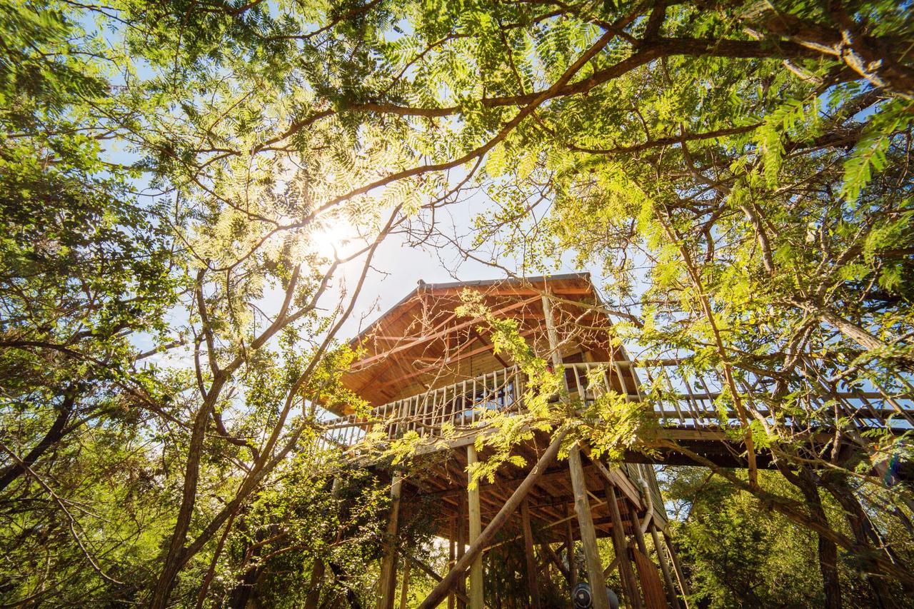 Pezulu Tree House Lodge フッドスプルイト エクステリア 写真
