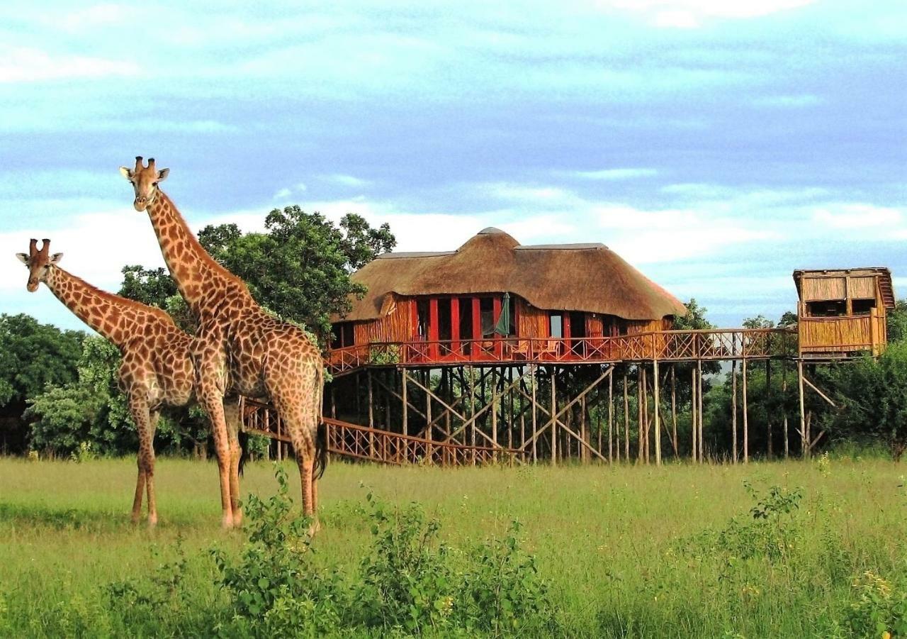 Pezulu Tree House Lodge フッドスプルイト エクステリア 写真