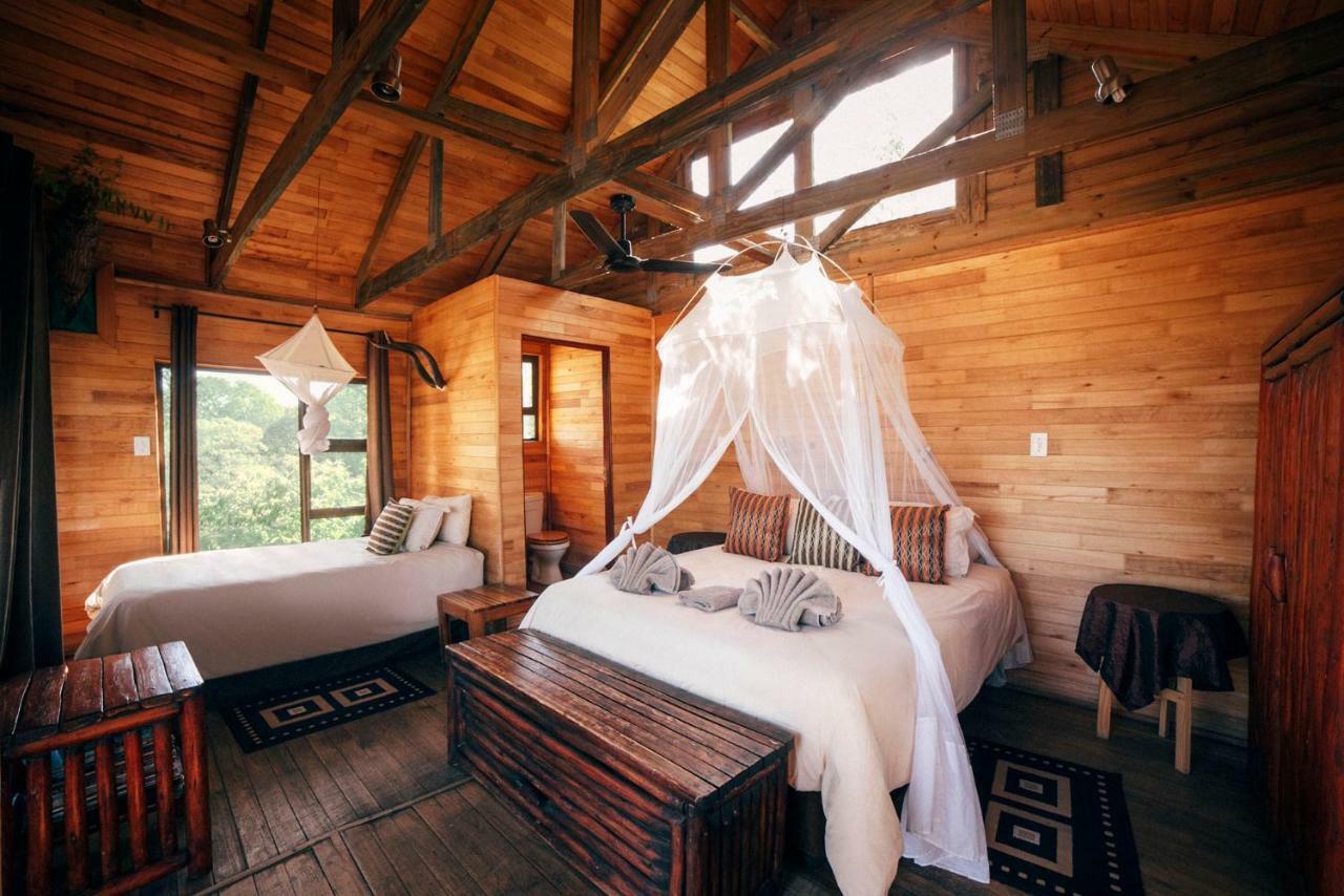 Pezulu Tree House Lodge フッドスプルイト エクステリア 写真