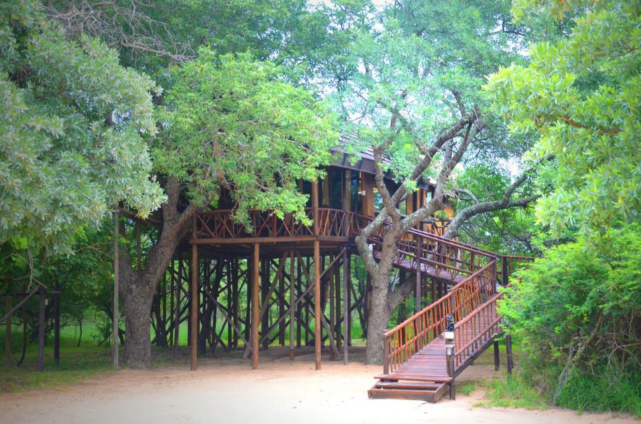 Pezulu Tree House Lodge フッドスプルイト エクステリア 写真