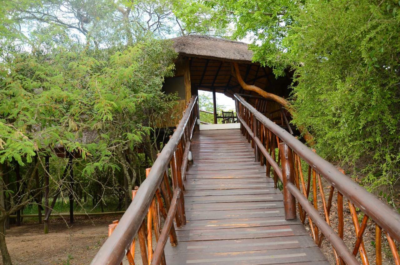 Pezulu Tree House Lodge フッドスプルイト エクステリア 写真