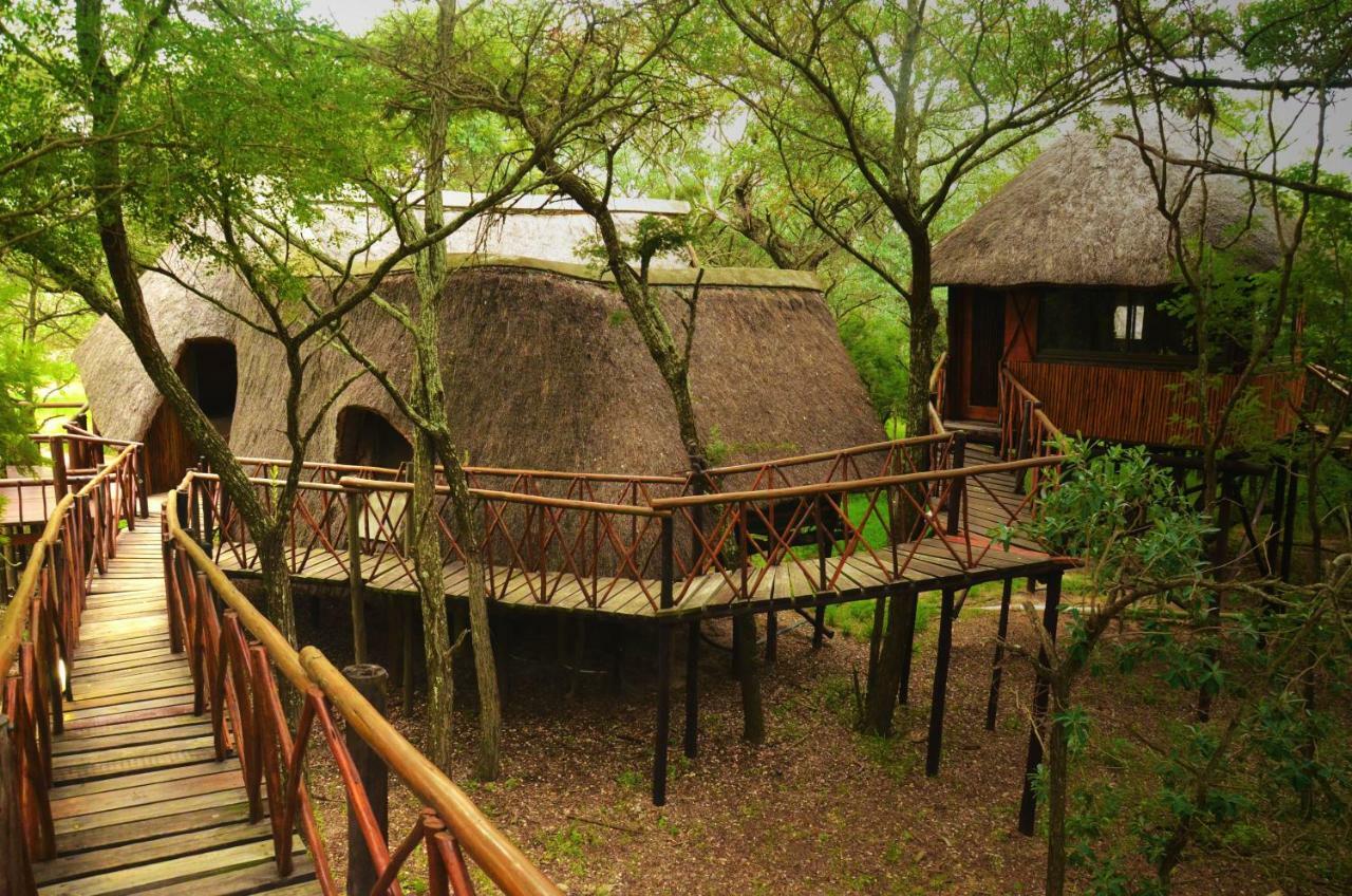 Pezulu Tree House Lodge フッドスプルイト エクステリア 写真