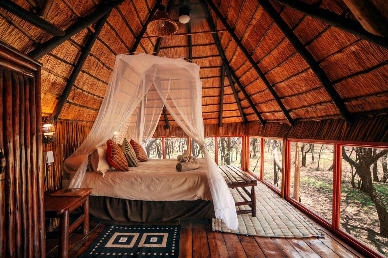 Pezulu Tree House Lodge フッドスプルイト エクステリア 写真