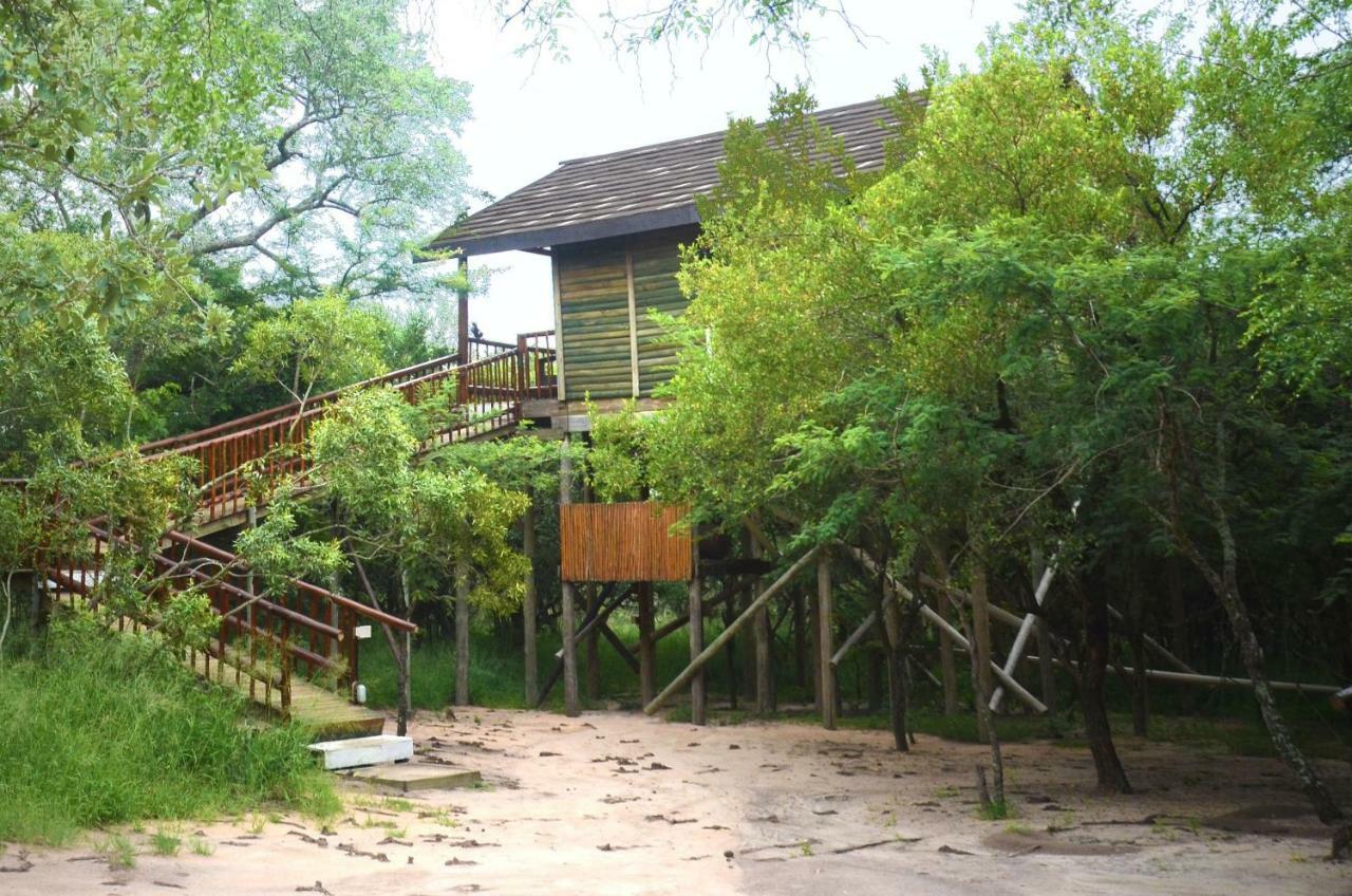 Pezulu Tree House Lodge フッドスプルイト エクステリア 写真