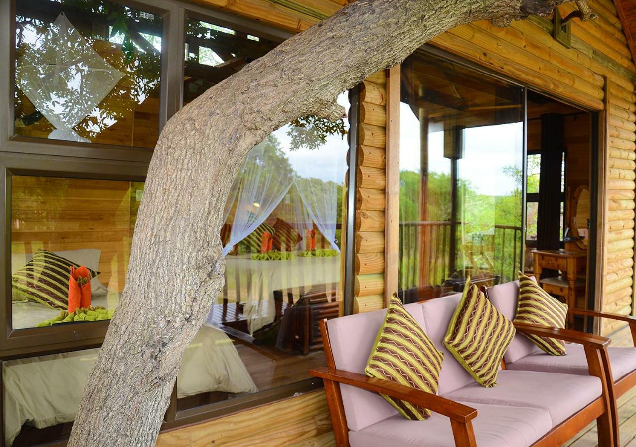 Pezulu Tree House Lodge フッドスプルイト エクステリア 写真