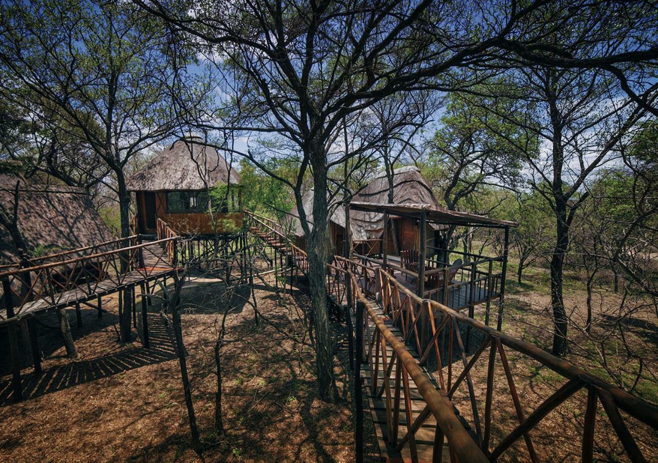 Pezulu Tree House Lodge フッドスプルイト エクステリア 写真