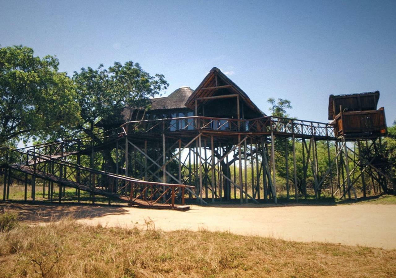 Pezulu Tree House Lodge フッドスプルイト エクステリア 写真