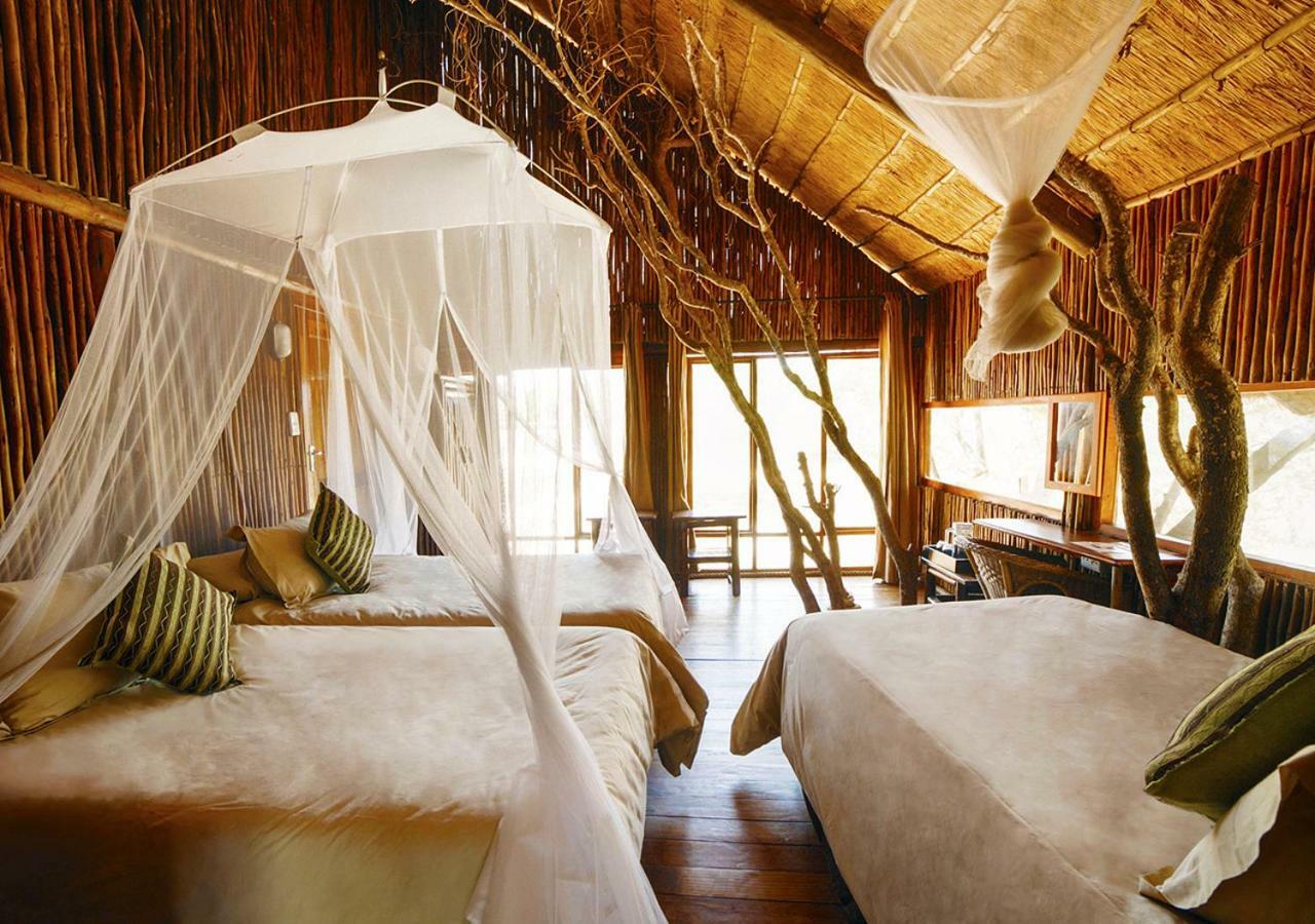 Pezulu Tree House Lodge フッドスプルイト エクステリア 写真